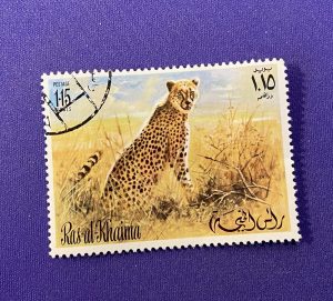 1189:: BIG Stamps, CHEETAH, Ras Al Khaima, 1960s, cancelled