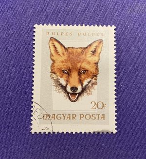 1423:: Stamps, Hungary, 1966, 20, animals, hunting trophies, red fox, cancelled