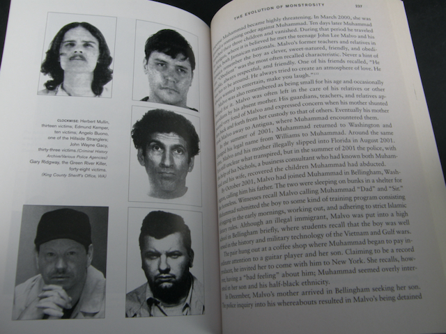 1716:: 1st Edition 2004 Paperback: "Serial Killers: The Method and Madness  of Monsters" by Peter Vronsky - Mark C. Grove