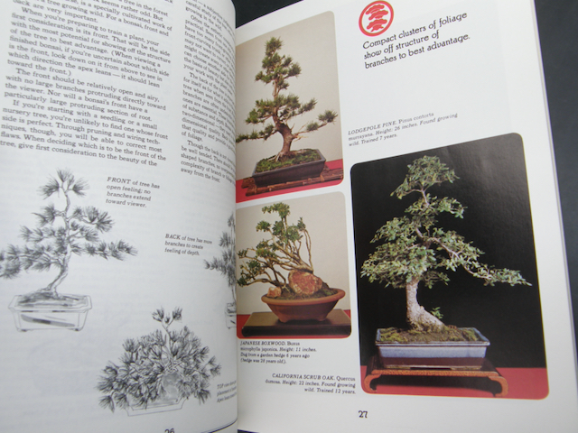 2028:: Grow Bonsai BOOK Guide: "Bonsai: Illustrated Guide to an Ancient Art"  by the editors of Sunset Books and Sunset Magazine - Mark C. Grove