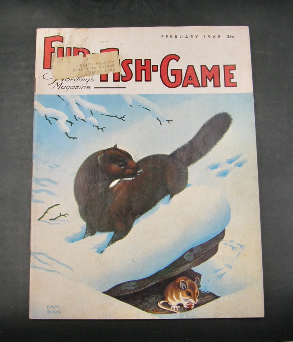 2314:: Fur-Fish-Game Harding's Magazine February 1968 Vol. 64, No.2 , Cover  Art: winter mink - Mark C. Grove