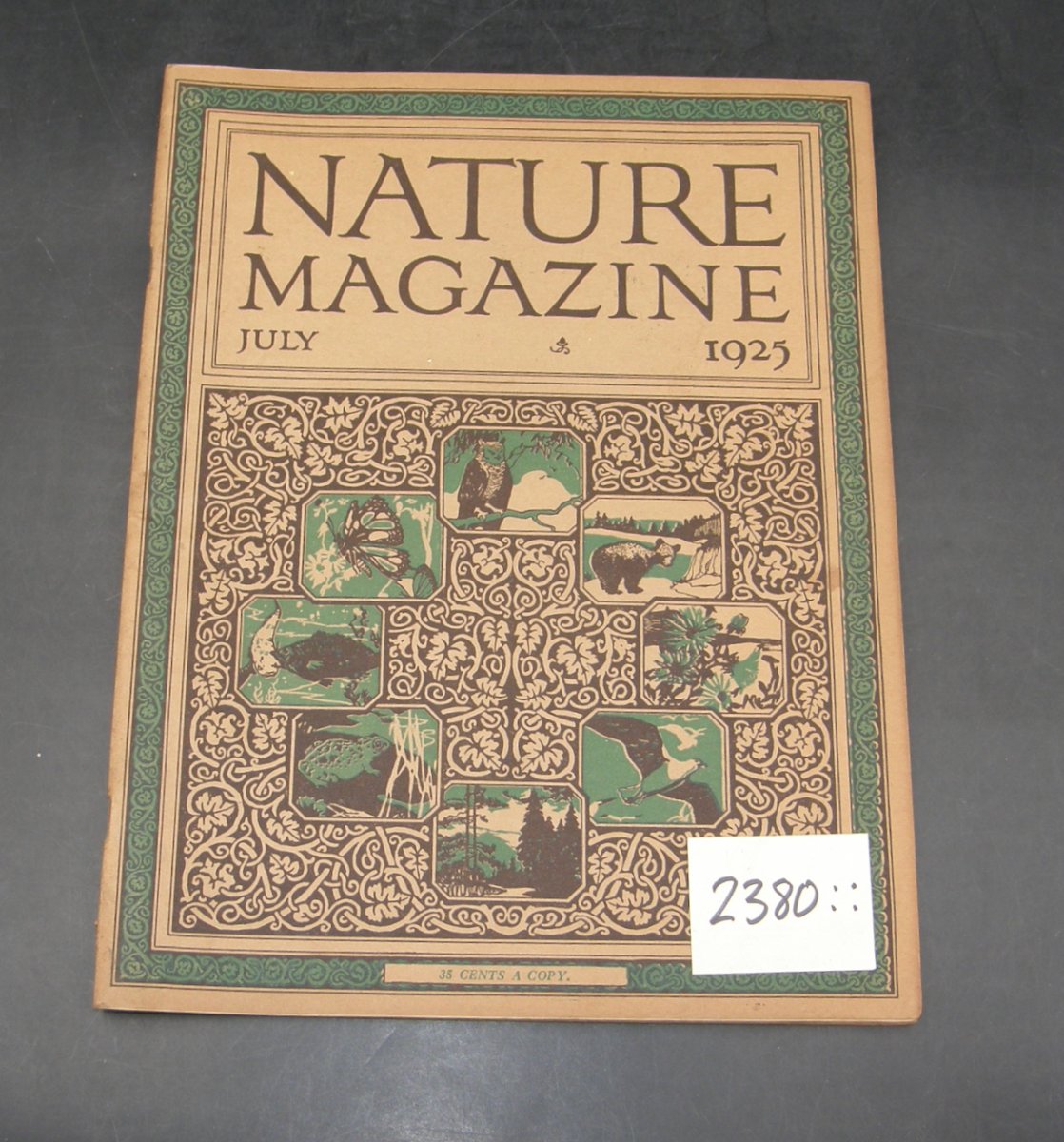 2380:: July 1925 Nature Magazine