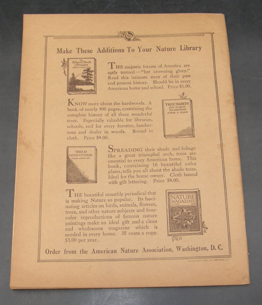 2380:: July 1925 Nature Magazine - Image 3