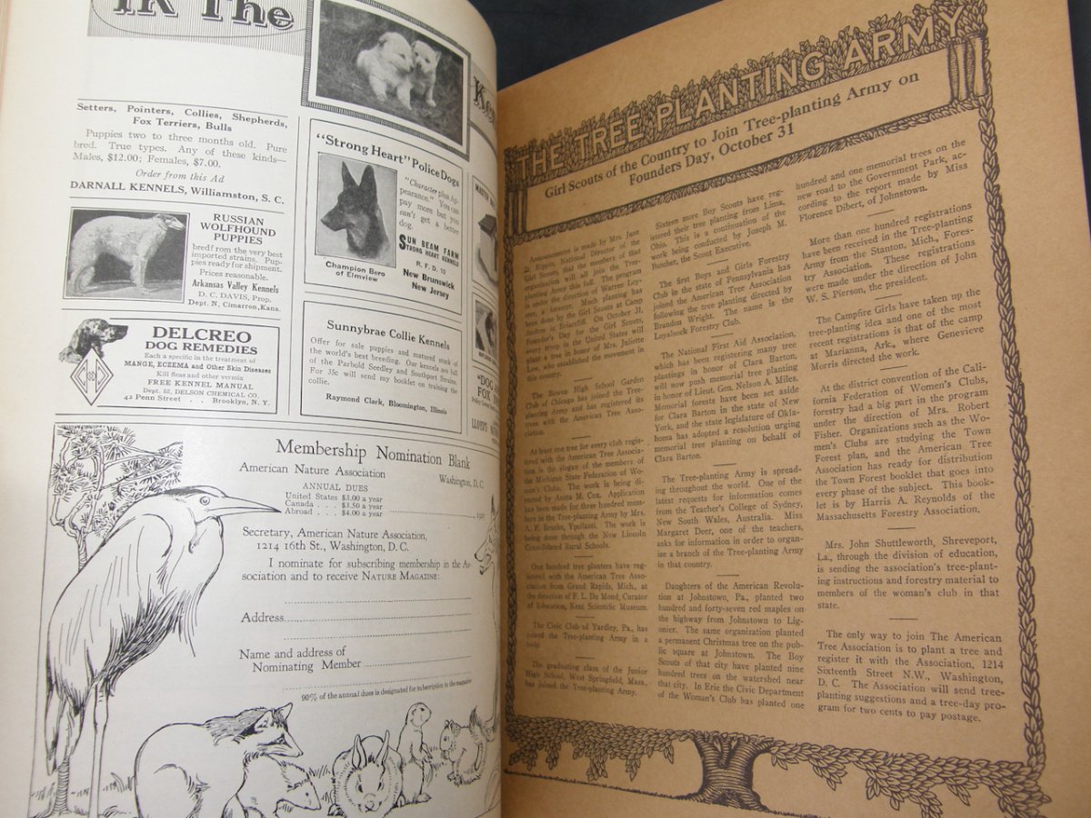 2380:: July 1925 Nature Magazine - Image 5