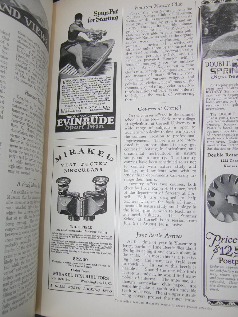 2380:: July 1925 Nature Magazine - Image 6