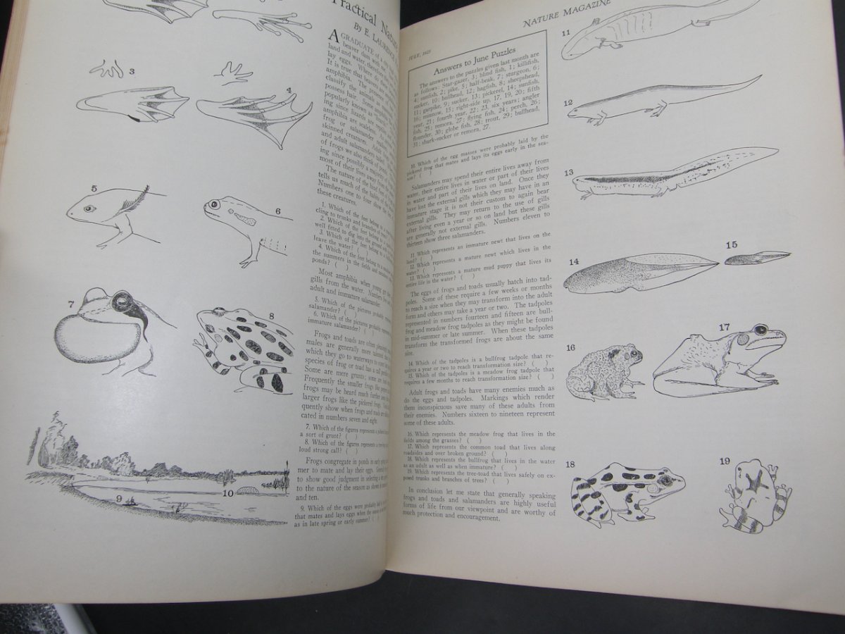 2380:: July 1925 Nature Magazine - Image 7