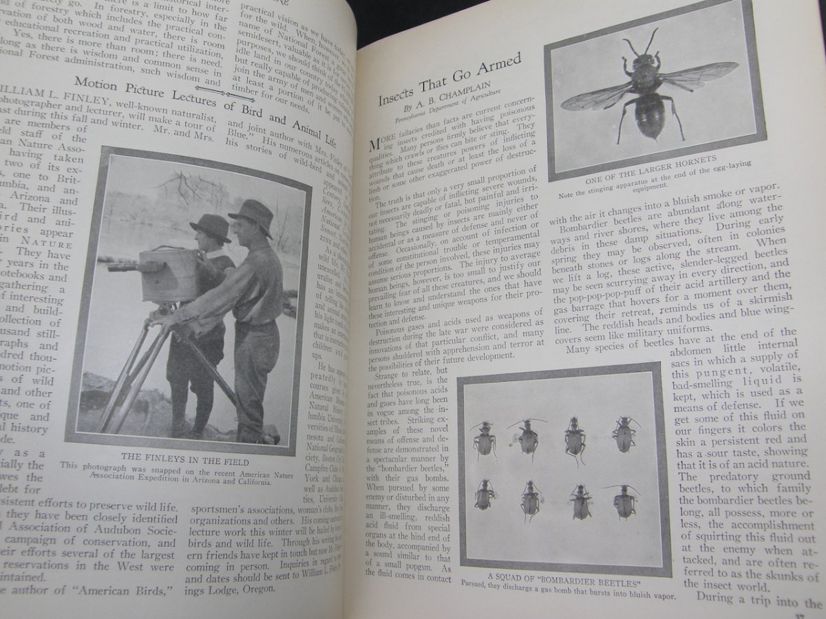 2380:: July 1925 Nature Magazine - Image 9