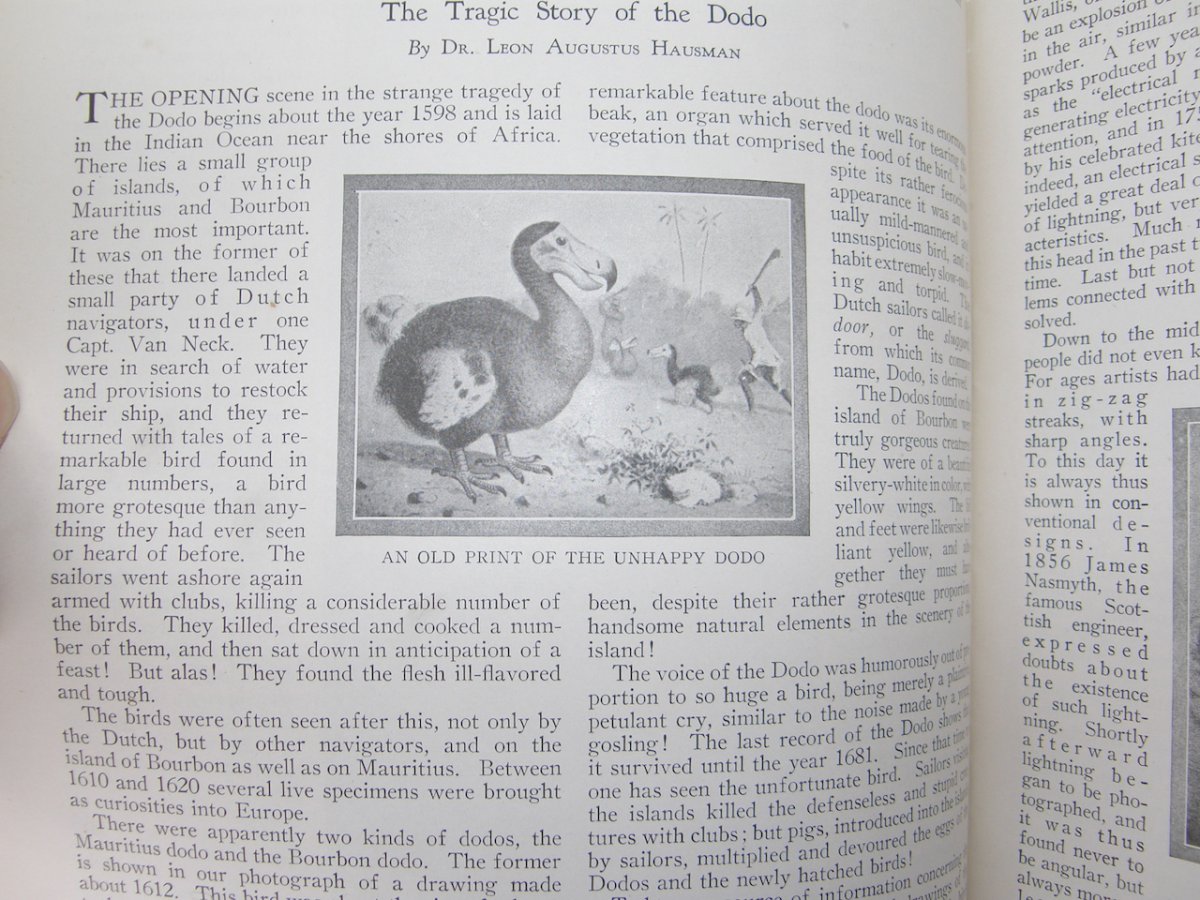 2380:: July 1925 Nature Magazine - Image 11